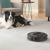 Helping iRobot Become a Tech Lifestyle Brand