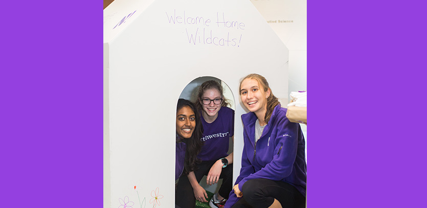 Prototype Purple 2016