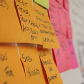 MMM Students Named Seibel Scholars