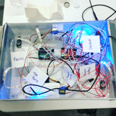 Another Successful Design Expo Under Segal's Belt