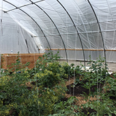 Designing for A Just Harvest 