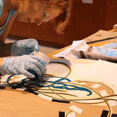 Segal Offers New Design Courses and Sections