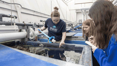 Gastropops student team at Shedd Aquarium